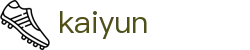 开云 - kaiyun官网首页 - 专业赛事运营与管理门户
